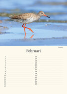 Verjaardagskalender vogels