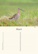Verjaardagskalender vogels