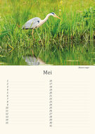 Verjaardagskalender vogels