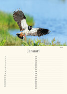 Verjaardagskalender vogels