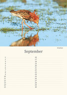 Verjaardagskalender vogels