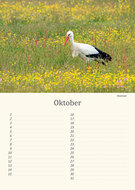 Verjaardagskalender vogels