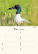 Verjaardagskalender vogels