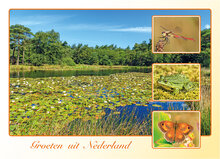 ansichtkaarten Nederland 