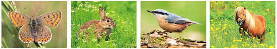 Cursus fotografie Beetsterzwaag