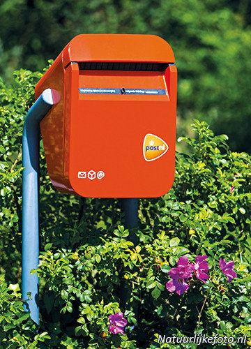 meditatie tafereel patroon Ansichtkaart PostNL brievenbus - uit voorraad leverbaar !