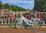 ansichtkaart witte fiets met bloemen