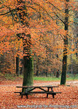ansichtkaart herfstbankje (0545) ansichtkaart herfstbankje (0545)