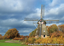 ansichtkaart korenmolen de Zaandplatte (0498) ansichtkaart korenmolen de Zaandplatte (0498)