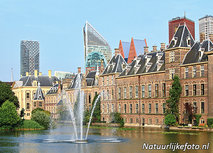 Ansichtkaart Den Haag - Hofvijver en het Torentje (C011) Ansichtkaart Den Haag - Hofvijver en het Torentje (C011)