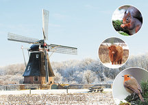 ansichtkaart greetings from Holland 007 ansichtkaart greetings from Holland 007
