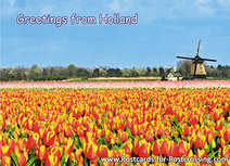 ansichtkaart Holland 006 ansichtkaart Holland 006