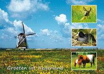 ansichtkaart Groeten uit Nederland 004 ansichtkaart Groeten uit Nederland 004