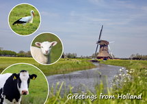 Ansichtkaart Holland 001 Ansichtkaart Holland 001