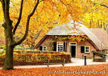 ansichtkaart kleine boerderij in de herfst (0082) ansichtkaart kleine boerderij in de herfst (0082)