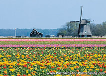 ansichtkaart molen O-T 't Zand (NH) (0230) ansichtkaart molen O-T 't Zand (NH) (0230)