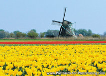 ansichtkaart molen P - Oudesluis (0231) ansichtkaart molen P - Oudesluis (0231)