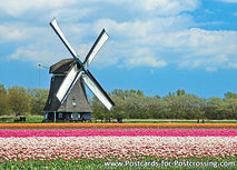 ansichtkaart poldermolen O-T (0247) ansichtkaart poldermolen O-T (0247)