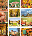 Herfst kaarten set (nr. 84) Herfst kaarten set (nr. 84)