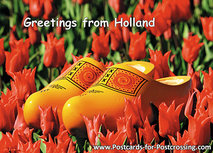 ansichtkaart klompen in een rood tulpenveld (0244) ansichtkaart klompen in een rood tulpenveld (0244)