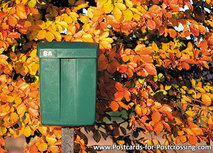ansichtkaart groene brievenbus in de herfst ansichtkaart groene brievenbus in de herfst