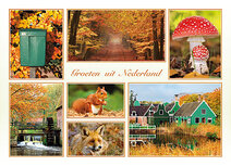 Ansichtkaart Groeten uit Nederland herfst (AH0011) Ansichtkaart Groeten uit Nederland herfst (AH0011)