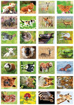Beloningsstickers dieren - 28 stickers op een vel (SV004) Beloningsstickers dieren - 28 stickers op een vel (SV004)