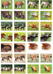 Beloningsstickers paarden - 28 stickers op een vel (SV015) Beloningsstickers paarden - 28 stickers op een vel (SV015)