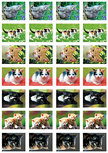 Beloningsstickers katten - 28 stickers op een vel (SV008) Beloningsstickers katten - 28 stickers op een vel (SV008)