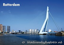Ansichtkaart Rotterdam - Erasmusbrug (C002) Ansichtkaart Rotterdam - Erasmusbrug (C002)