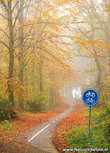 ansichtkaart fietspad in de herfst (0609) ansichtkaart fietspad in de herfst (0609)