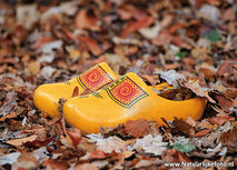 ansichtkaart klompen in de herfst (0607) ansichtkaart klompen in de herfst (0607)