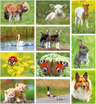 Kinderkaarten set (set nr. 95) Kinderkaarten set (set nr. 95)