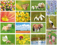 Lente ansichtkaarten (set nr. 90) Lente ansichtkaarten (set nr. 90)