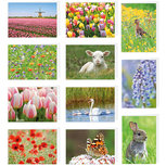 Wenskaarten zonder tekst - set van 11 stuks (set nr. 99) Wenskaarten zonder tekst - set van 11 stuks (set nr. 99)