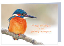 Luxe kerstkaart ijsvogel - dubbele kaart met envelop (K004) Luxe kerstkaart ijsvogel - dubbele kaart met envelop (K004)