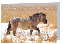 Luxe kerstkaart konik paard - dubbele kaart met envelop (K003) Luxe kerstkaart konik paard - dubbele kaart met envelop (K003)