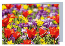 Blanco wenskaart bloemen met envelop - dubbele kaart zonder tekst (W016) Blanco wenskaart bloemen met envelop - dubbele kaart zonder tekst (W016)