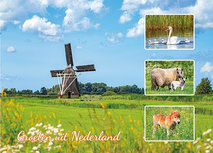 ansichtkaart groeten uit Nederland (AH0019) ansichtkaart groeten uit Nederland (AH0019)