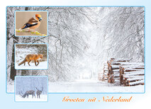 Postcrossing kaarten top 100 - ansichtkaart groeten uit Nederland winter Postcrossing kaarten top 100 - ansichtkaart groeten uit Nederland winter