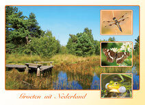 Postcrossing kaarten top 100 - ansichtkaart groeten uit Nederland Postcrossing kaarten top 100 - ansichtkaart groeten uit Nederland