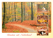 ansichtkaart groeten uit Nederland (AH0023) ansichtkaart groeten uit Nederland (AH0023)
