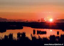 ansichtkaart zonsondergang Leekstermeer (0732) ansichtkaart zonsondergang Leekstermeer (0732)