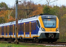 ansichtkaart NS trein in de herfst (0744) ansichtkaart NS trein in de herfst (0744)