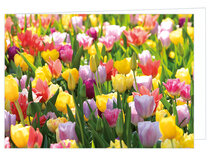 Blanco wenskaart bloemen - dubbele kaart met envelop (W005) Blanco wenskaart bloemen - dubbele kaart met envelop (W005)