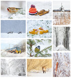 ansichtkaarten set winter in Nederland (set nr.117) ansichtkaarten set winter in Nederland (set nr.117)