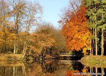 ansichtkaart bruggetje in de herfst (0077) ansichtkaart bruggetje in de herfst (0077)