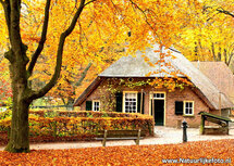ansichtkaart kleine boerderij in de herfst (0082) ansichtkaart kleine boerderij in de herfst (0082)
