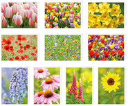 20 blanco wenskaarten + envelop 20 blanco wenskaarten + envelop