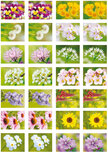 Beloningsstickers bloemen - 28 stickers op een vel (SV017) Beloningsstickers bloemen - 28 stickers op een vel (SV017)